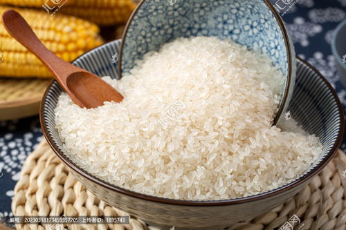 有机大米图片素材下载 食品餐饮素材下的五谷杂粮图片素材