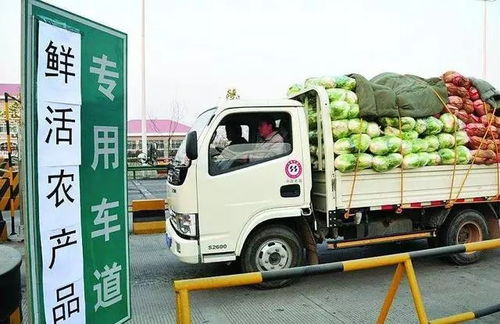 大兄弟 你还在拉绿通货物吗